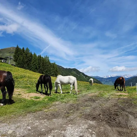 Σπίτι διακοπών Lipphuette *