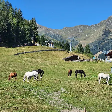 Lipphuette Σπίτι διακοπών